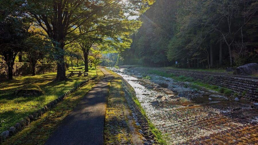 1-Day Tour from Takayama: Unveiling the Charm of Gero Onsen - Choosing lunch in Gero