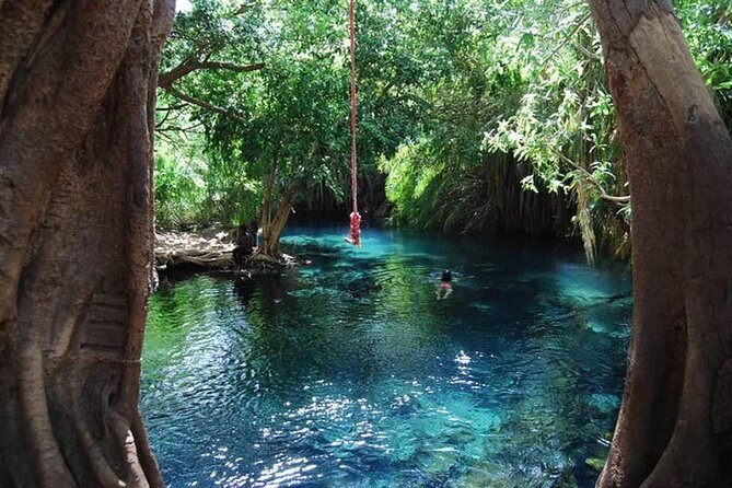 1 Day Tour Hot Spring (Majimoto) - Warm water beneath the Tanzanian trees