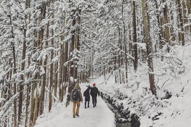 1-Day Winter Tour From Nozawa Onsen: Snow Monkeys, Zenko-ji Temple & Sake - The winter walk to Jigokudani