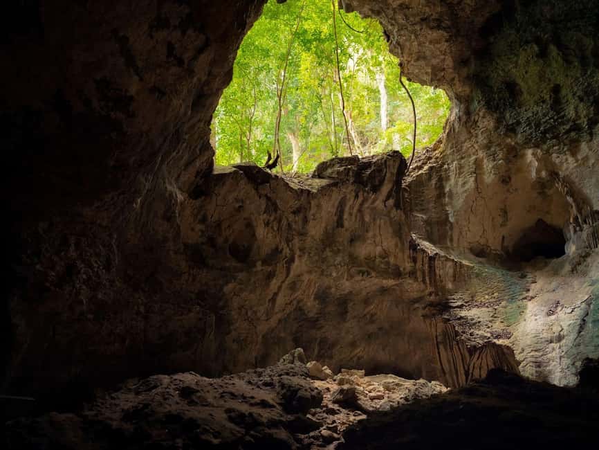 2in1: Los Haitises National Park + Yanigua Waterfall-SPA - Who should book this $125 excursion?