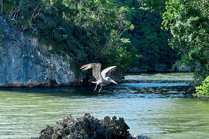 2in1: Los Haitises National Park + Yanigua Waterfall-SPA - Who will enjoy this day most