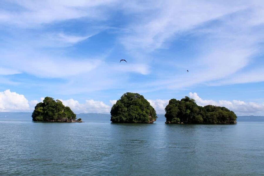 2in1: Los Haitises National Park + Yanigua Waterfall-SPA - Guide quality and the pace of a multilingual group