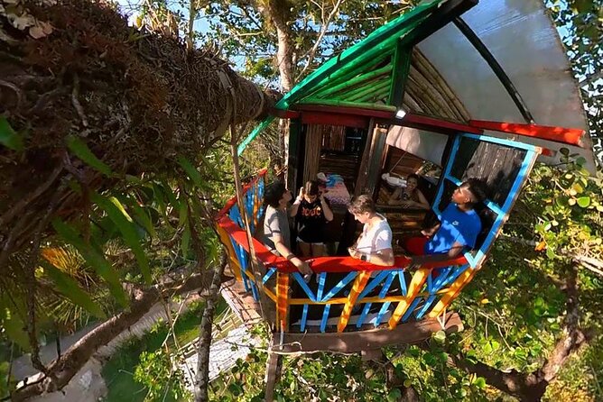 2in1: Los Haitises National Park + Yanigua Waterfall-SPA - Los Haitises by boat: mangroves, limestone, and open sky