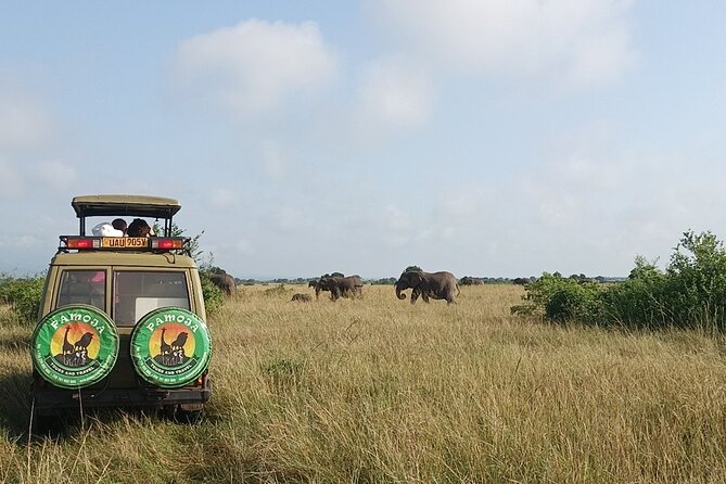 4-Day QENP, Gorillas in Bwindi and Lake Bunyonyi relaxation - Day 4: One last game drive and the return to Entebbe
