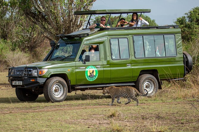 4-Day QENP, Gorillas in Bwindi and Lake Bunyonyi relaxation - Comfort, transport, and group size