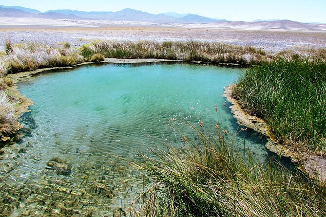 4-Hour Private Hidden Hot Springs Tour near Death Valley - Weather, moonlight, and the cancellation rule