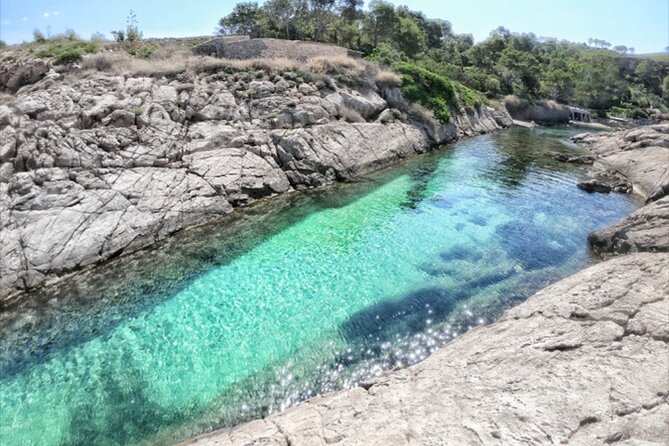 4 hours of Discovery, Snorkeling, natural jacuzzi, pirate cave - Snorkeling at the cove