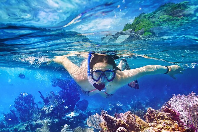 4 hours of Discovery, Snorkeling, natural jacuzzi, pirate cave - Is $216.74 per person fair?