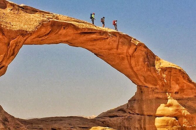 7-Day Private Tour, Jordan's Wellness - Day 1: A simple arrival at Queen Alia Airport