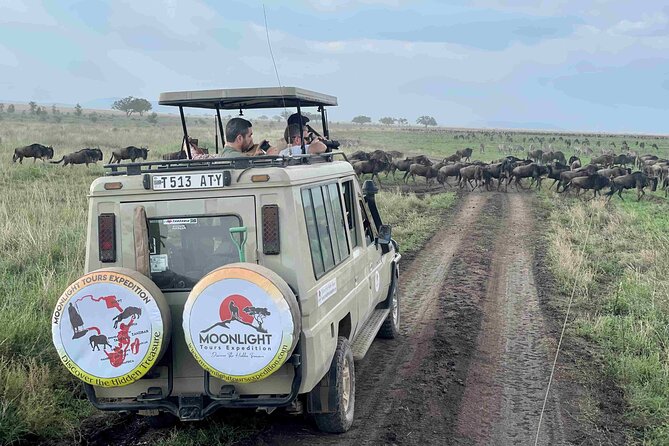 7Day Serengeti Migration (Ndutu), Crater, Hot Springs & City Tour - Why Ndutu makes this seven-day safari special