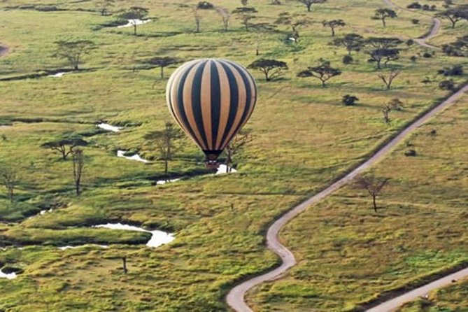 7Day Serengeti Migration (Ndutu), Crater, Hot Springs & City Tour - Tarangire brings elephants and baobabs into the picture