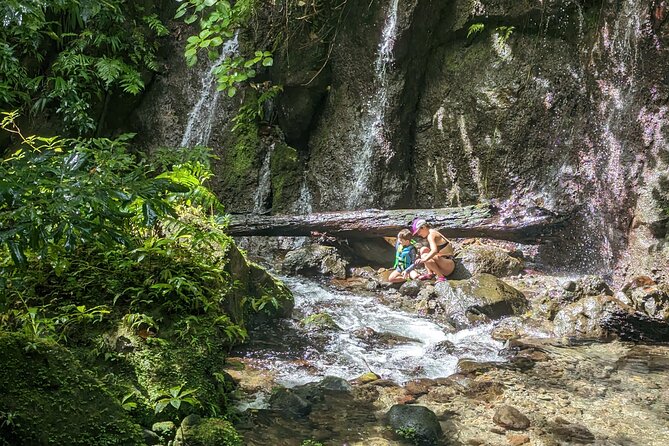 A Day of Relaxation in the Jungle and Waterfalls of Dominica - Ti Kwen Glo Cho is the right final stop