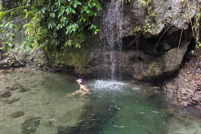 A Day of Relaxation in the Jungle and Waterfalls of Dominica - Ketty makes the day about more than scenery