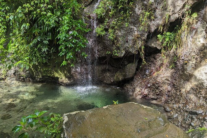 A Day of Relaxation in the Jungle and Waterfalls of Dominica - What the $306.04 price really covers