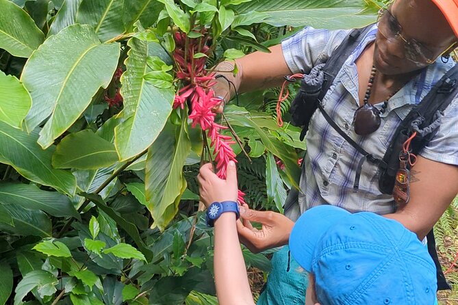 A Day of Relaxation in the Jungle and Waterfalls of Dominica - Who will enjoy this Dominica experience most