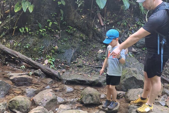 A Day of Relaxation in the Jungle and Waterfalls of Dominica - Practical details that affect your day