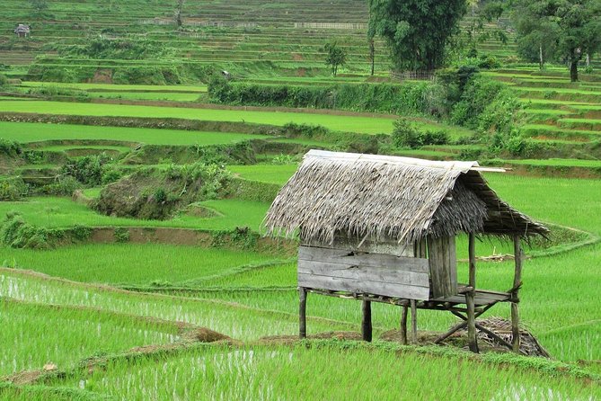 Active Volcano, Rice Field, Hot Spring, Fruit market, Tea Plantation with Lunch - Guides, drivers, and the small-group advantage