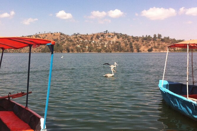 Addis Ababa Spa Day Trip To Debre Ziet(Resort Towns) - Who will enjoy this day most