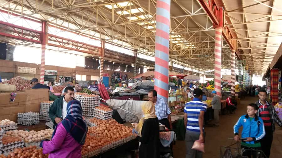 Agadir: City Tour with Hammam and Massage - The contemporary Marina and the sardine harbor