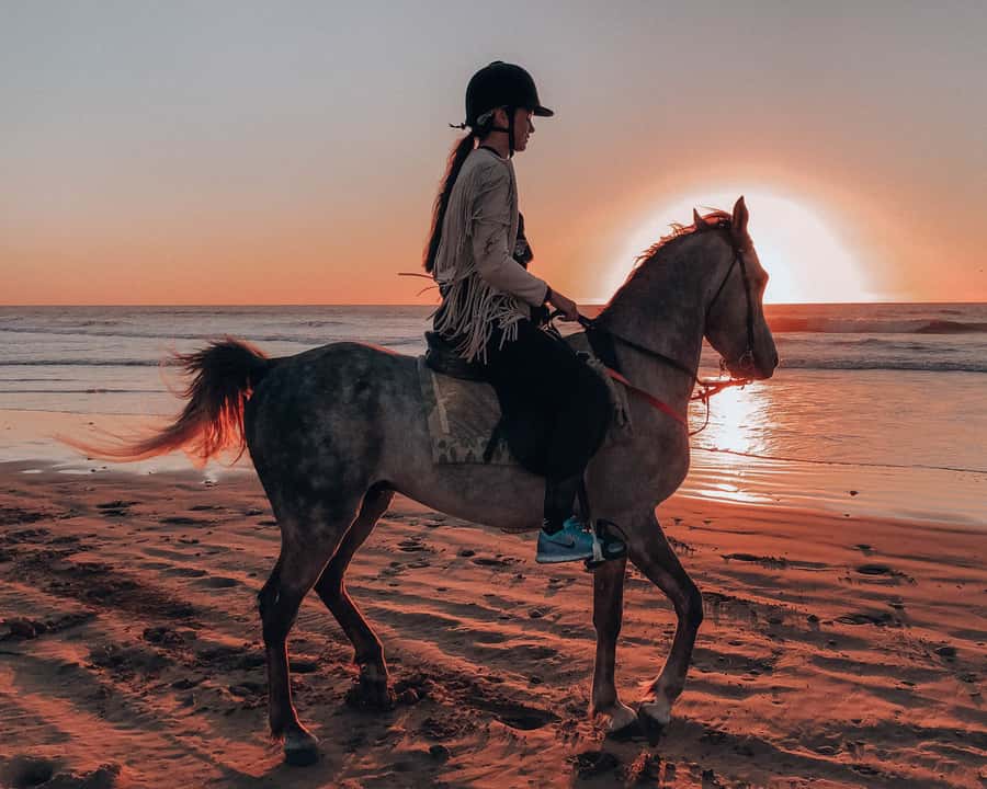 Agadir: Sunset Horse Riding Experience And Relaxing Massage - From Agadir hotel pickup to the open beach