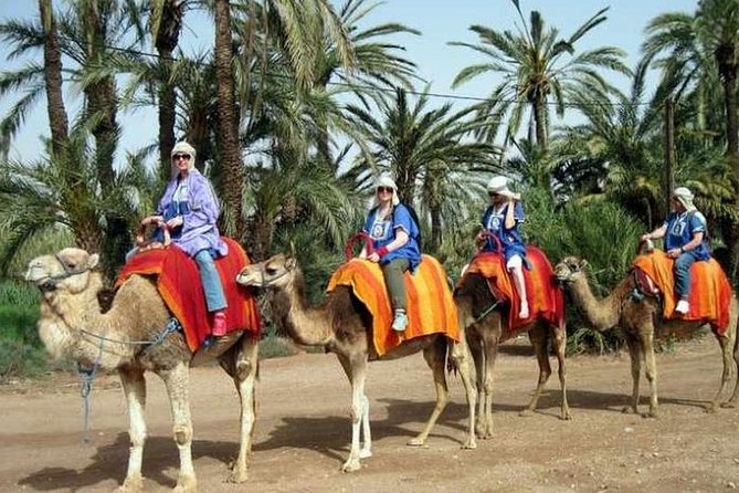 Agafay Desert Adventure, Culture, and Relaxation, From Marrakech - Quad biking across Agafay’s rough ground