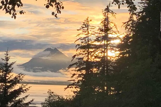 Alaska Nature Immersion: Forest Therapy Tour in Haines, Alaska - Why the $109 price can make sense