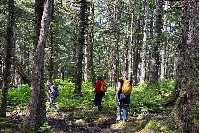 Alaska Nature Immersion: Forest Therapy Tour in Haines, Alaska - Prepare for Haines weather