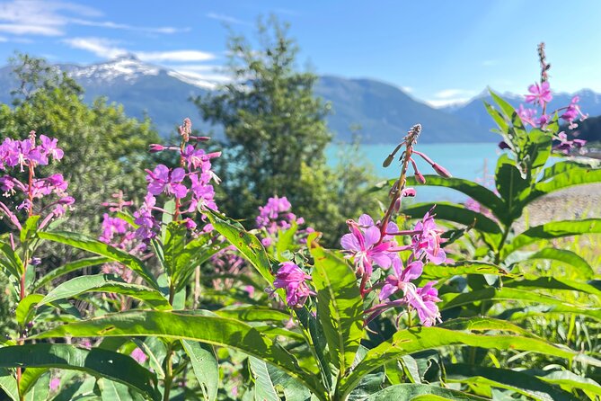 Alaska Nature Immersion: Forest Therapy Tour in Haines, Alaska - Who will enjoy this experience most
