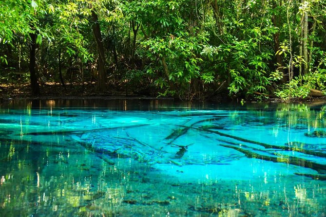 All day Krabi Jungle Tour (Hot Spring Water, Emerald Pool, Tiger Cave Temple) - A full day beyond Krabi’s beaches