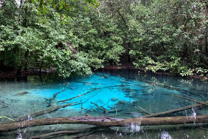 All day Krabi Jungle Tour (Hot Spring Water, Emerald Pool, Tiger Cave Temple) - What the transport and timing are really like
