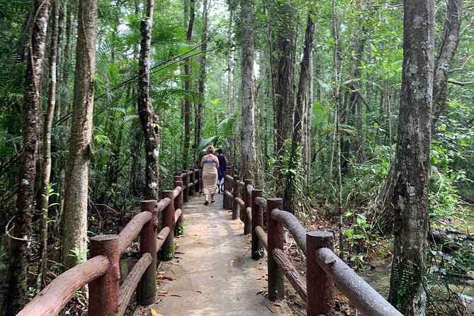 All day Krabi Jungle Tour (Hot Spring Water, Emerald Pool, Tiger Cave Temple) - Walking the rainforest trail to Emerald Pool