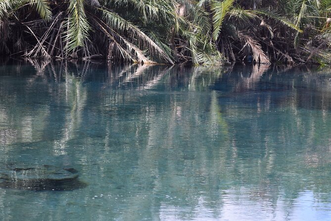 Amazing Chemka (Kikuletwa) Hot Spring Day Trip | BURIGI CHATO SAFARIS CO LTD - Who will enjoy this day trip most
