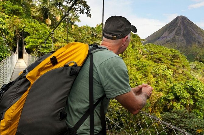 Arenal Hanging Bridges, Guided Walk, Hot Springs Optional - Why the Arenal bridges are worth your time