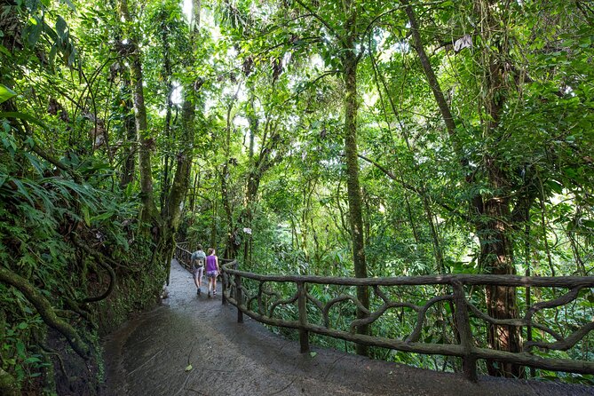 Arenal Hanging Bridges, Guided Walk, Hot Springs Optional - A trail built for easier walking