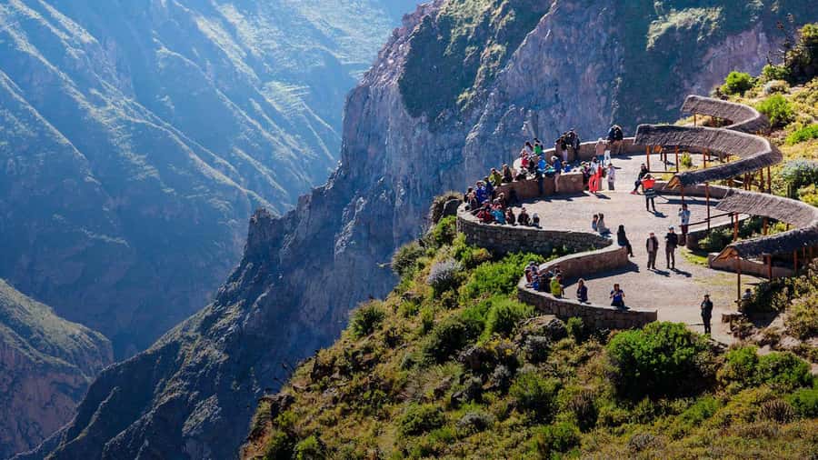 Arequipa: 1-Day Colca Canyon + Thermal Baths Tour - Why the condors make this day worth the road time