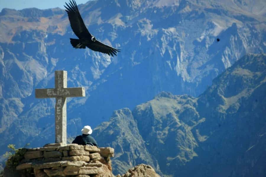 Arequipa: 1-Day Colca Canyon + Thermal Baths Tour - Cruz del Condor gives you time to watch, not just pose