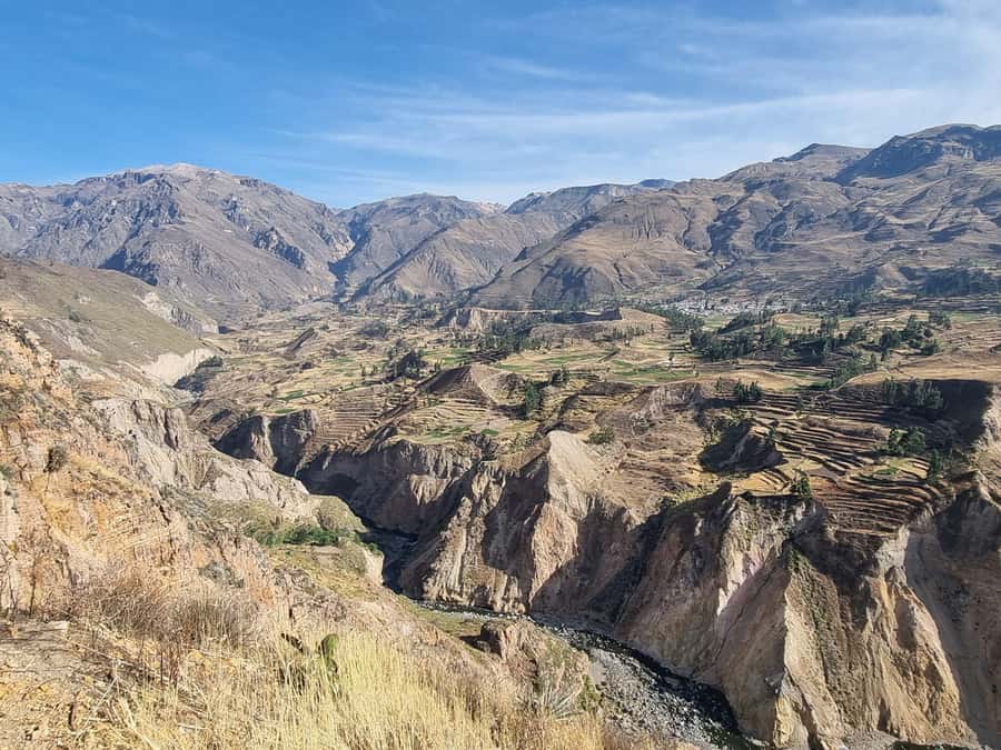 Arequipa: 1-Day Colca Canyon + Thermal Baths Tour - Camelids in Salinas and Aguada Blanca National Reserve