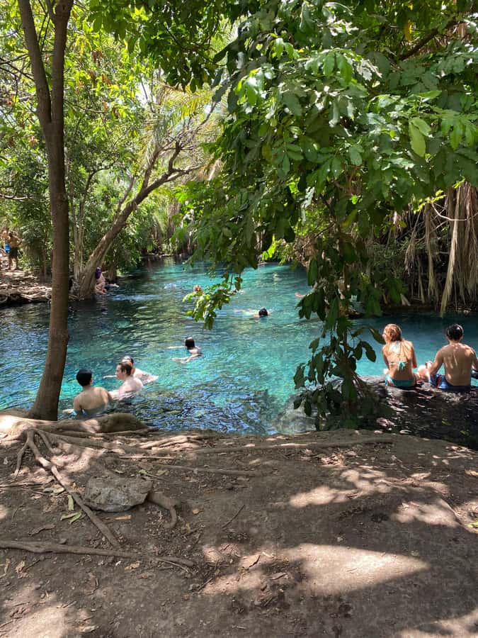 Arusha: Kikuletwa Hot Springs Day Trip with Transport - Why Kikuletwa Hot Springs makes a good day out