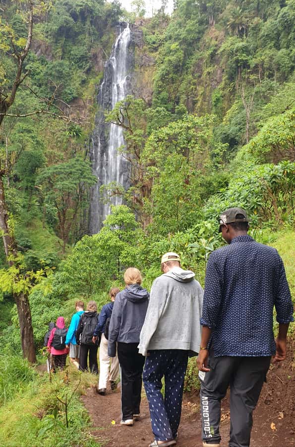 Arusha: Materuni Waterfalls, Hot Springs and/or Coffee Tour - Why this Materuni and Chemka combination works
