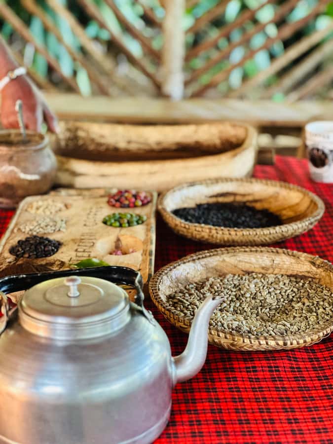Arusha: Materuni Waterfalls, Hot Springs and/or Coffee Tour - Coffee from Arabica bean to handmade cup