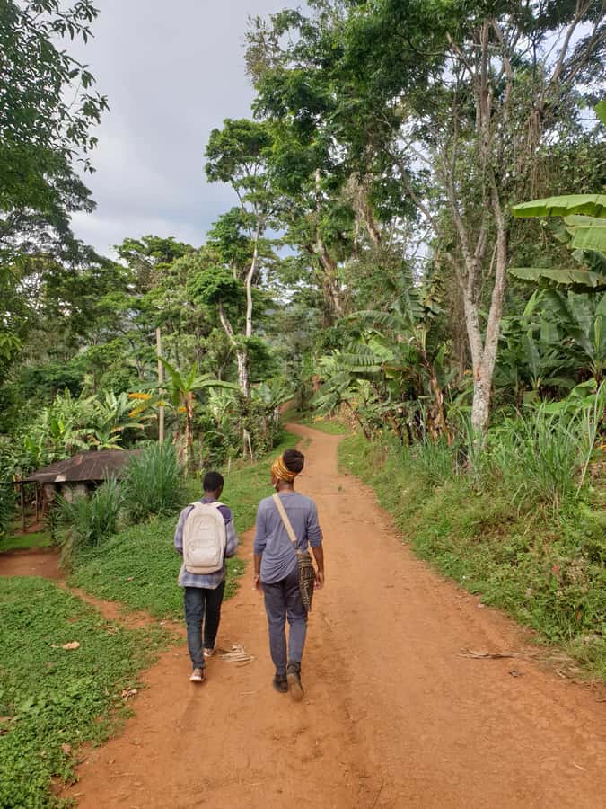Arusha: Materuni Waterfalls, Hot Springs and/or Coffee Tour - The drive to Chemka Hot Spring