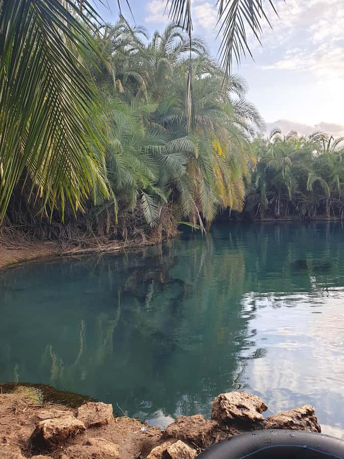 Arusha: Materuni Waterfalls, Hot Springs and/or Coffee Tour - Who will get the most from this excursion?