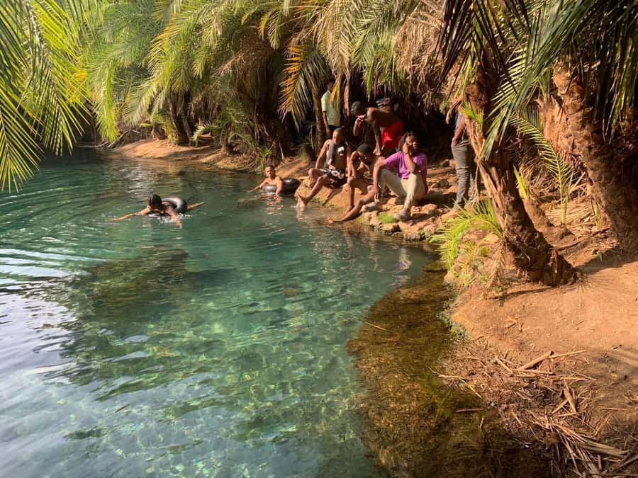 Arusha/Moshi Hot Springs Tour (Chemka) by Kingstone Asilia - Reaching Kikuletwa after Arusha pickup