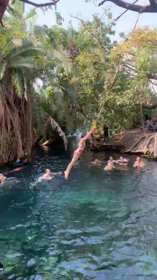Arusha/Moshi Hot Springs Tour (Chemka) by Kingstone Asilia - Two and a half hours to swim, rest, and play