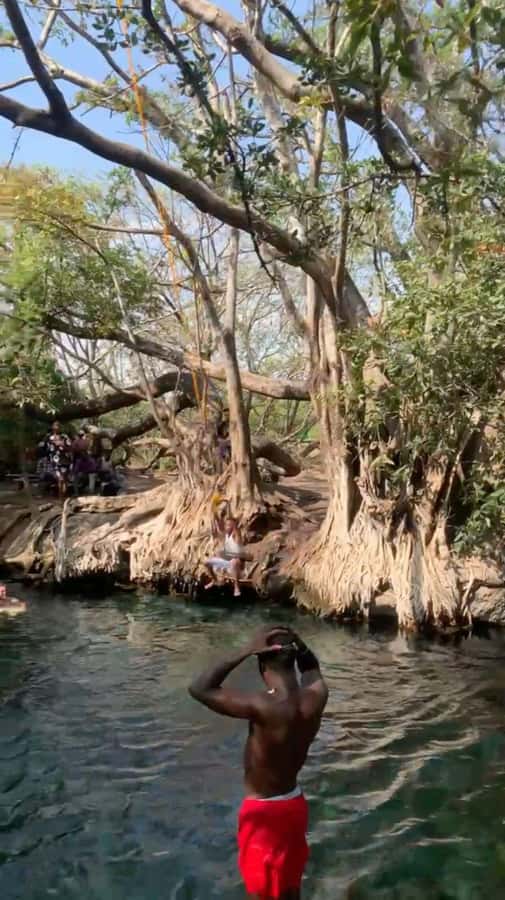 Arusha/Moshi Hot Springs Tour (Chemka) by Kingstone Asilia - What the $100 price really covers