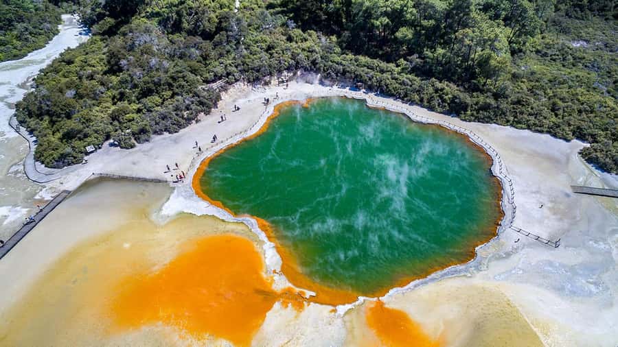 Auckland: Rotorua Highlights inc Wai-O-Tapu & Polynesian Spa - The long return to Auckland
