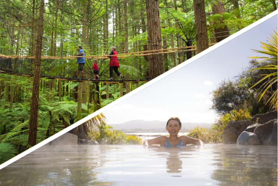 Auckland: Rotorua Highlights with Redwoods Treewalk & Spa - Why this Auckland to Rotorua day trip works