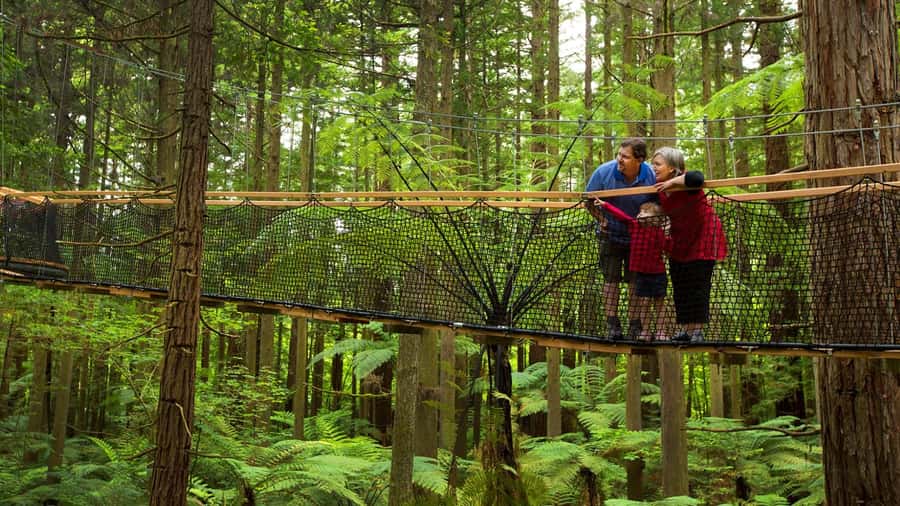 Auckland: Rotorua Highlights with Redwoods Treewalk & Spa - A quick guided introduction to Rotorua