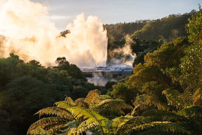 Auckland: Rotorua Te Puia with Haka & Polynesian Spa Small Group - Practical value, timing, and food