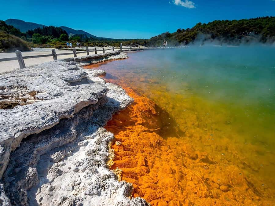 Auckland: Wai-O-Tapu, Maori Haka & Hot Springs Rotorua Tour - Auckland to Rotorua: a very full day